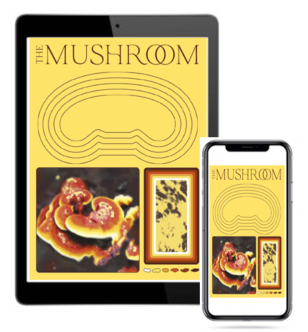 The Mushroom - Issue 1 - eBook format