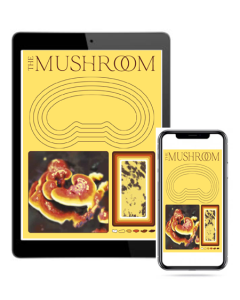 The Mushroom - Issue 1 - eBook format
